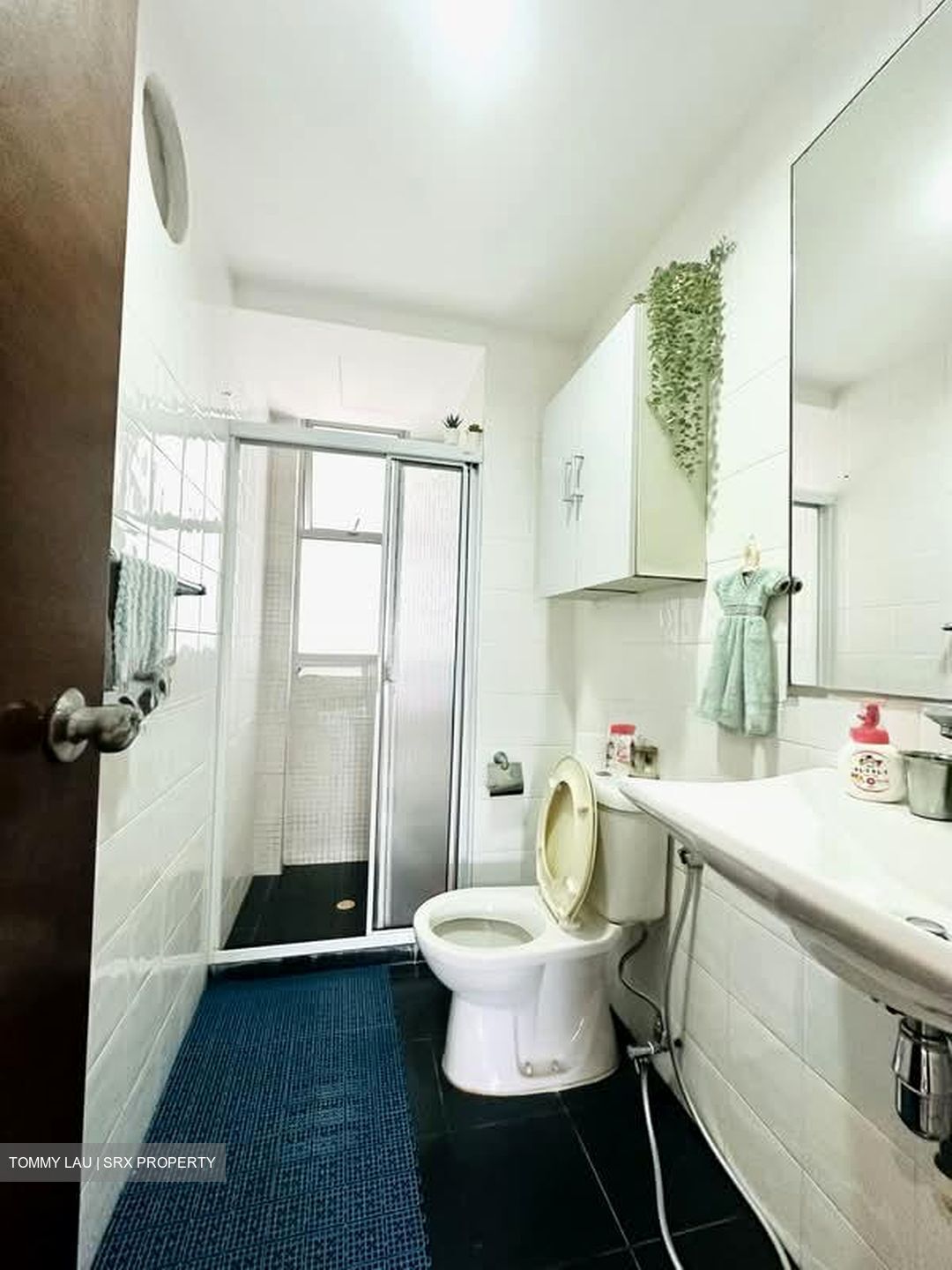The Eden At Tampines (D18), Condominium #566099321